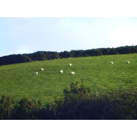 รูปถ่าย ไอร์แลนด์(Ireland) 2000-11 5