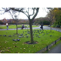 รูปถ่าย ไอร์แลนด์(Ireland) ดับลิน(Dublin) 2000-11 3