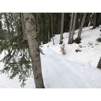 รูปถ่าย ฝรั่งเศส(France) เมแฌฟว์(Megeve) 2019-03 66