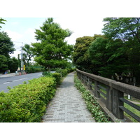 รูปถ่าย ญี่ปุ่น(Japan) โตเกียว(Tokyo) โอโมเตะซันโด(Omotesando) 2010-06 26