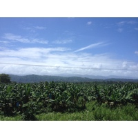 รูปถ่าย คอสตาริกา(Costa Rica) จากลีมอนไปซีกีร์เรส(Limon to Siquirres) 2015-03 35