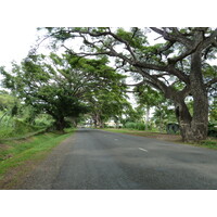 รูปถ่าย ฟิจิ(Fiji) 2010-05 22