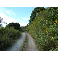 รูปถ่าย นิวแคลิโดเนีย(New Caledonia) ถนนจากทีโอไปกานาลา(Thio to Canala road) 2010-05 68