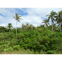 รูปถ่าย นิวแคลิโดเนีย(New Caledonia) เกาะลีฟู(Lifou) 2010-05 31