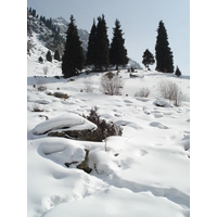 รูปถ่าย คาซัคสถาน(Kazakhstan) ซิมบูแลค(Shymbulak) 2007-03 97
