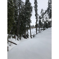 รูปถ่าย ฝรั่งเศส(France) เมแฌฟว์(Megeve) 2019-03 51