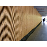 รูปถ่าย ญี่ปุ่น(Japan) โตเกียว(Tokyo) พิพิธภัณฑ์เนซุ(Nezu Museum) 2010-06 5