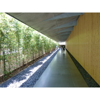 รูปถ่าย ญี่ปุ่น(Japan) โตเกียว(Tokyo) พิพิธภัณฑ์เนซุ(Nezu Museum) 2010-06 13