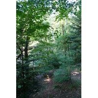 รูปถ่าย ฝรั่งเศส(France) อูแอลโกแอท(Huelgoat) 2007-08 64