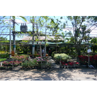 รูปถ่าย ไทย(Thailand) ถนนจากพัทยาไปเกาะเสม็ด(Pattaya to Ko Samet road) 2008-12 70