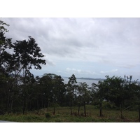 รูปถ่าย ปานามา(Panama) จากดาบิดไปโบกัสเดลโตโร(David to Bocas del toro) 2015-03 26