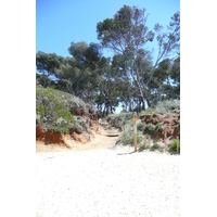 รูปถ่าย ฝรั่งเศส(France) เกาะปอร์เกอรอล(Porquerolles Island) หาดกูร์ตาด(Courtade beach) 2008-05 54