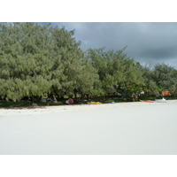 รูปถ่าย นิวแคลิโดเนีย(New Caledonia) เกาะลีฟู(Lifou) หาดลูเอ็งโกนี(Luengoni Beach) 2010-05 44