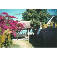 รูปถ่าย ไทย(Thailand) ภูเก็ต(Phuket) 1994-02 6