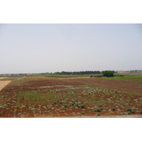 รูปถ่าย โมร็อกโก(Morocco) ถนนจากเฟสไปราบัต(Fes to Rabat Road) 2008-07 78