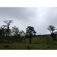 รูปถ่าย ปานามา(Panama) จากดาบิดไปโบกัสเดลโตโร(David to Bocas del toro) 2015-03 43