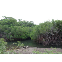 รูปถ่าย ฟิจิ(Fiji) ถนนจากนาดีไปนาตาโดลา(Nadi to Natadola road) 2010-05 79