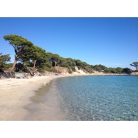 รูปถ่าย ฝรั่งเศส(France) คอร์สิคา(Corsica) ปาลอมบัจจา(Palombaggia) 2012-09 70