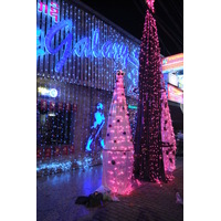 รูปถ่าย ลาว(Laos) เวียงจันทน์(Vientiane) 2012-12 12