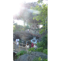 รูปถ่าย ฝรั่งเศส(France) ดิสนีย์แลนด์ปารีส(Disneyland Paris) บ้านต้นไม้โรบินสัน(La Cabane des Robinson) 2007-07 31