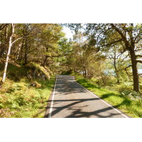 รูปถ่าย อังกฤษ(United Kingdom) สกอตแลนด์(Scotland) เซเลน(Salen) 2011-07 67
