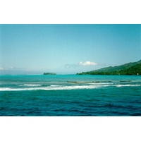 รูปถ่าย เฟรนช์โพลี่นีเซีย(Polynesia) มูเรีย(Moorea) 1993-04 94