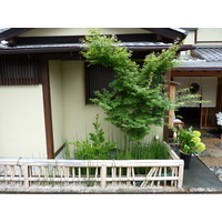 รูปถ่าย ญี่ปุ่น(Japan) เกียวโต(Kyoto) ถนนฮานามิโคจิ(Hanami koji) 2010-06 12