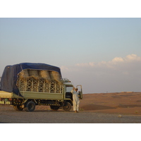 รูปถ่าย สหรัฐอาหรับเอมิเรตส์(United Arab Emirates) อาเลอิน(Al Ain) ทะเล(Desert) 2005-11 16