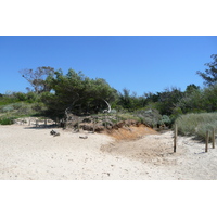 รูปถ่าย ฝรั่งเศส(France) เกาะปอร์เกอรอล(Porquerolles Island) หาดกูร์ตาด(Courtade beach) 2008-05 33