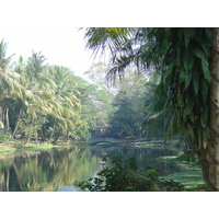 รูปถ่าย พม่า(Myanmar) ย่างกุ้ง(Yangon) 2005-01 17