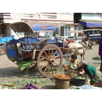 รูปถ่าย พม่า(Myanmar) ทวาย(Dawei (TAVOY)) 2005-01 84