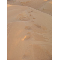 รูปถ่าย สหรัฐอาหรับเอมิเรตส์(United Arab Emirates) อาเลอิน(Al Ain) ทะเล(Desert) 2005-11 1