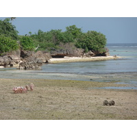 รูปถ่าย ฟิจิ(Fiji) 2010-05 73