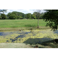 รูปถ่าย ฝรั่งเศส(France) แม่น้ำดอร์ดอญ(Dordogne River) 2010-08 16