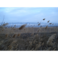 รูปถ่าย คาซัคสถาน(Kazakhstan) ถนนจากอัลมาตีไปหุบผาชารึน(Almaty to Charyn Canyon road) 2007-03 136