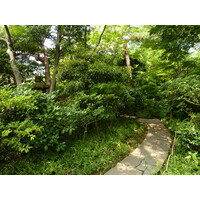 รูปถ่าย ญี่ปุ่น(Japan) โตเกียว(Tokyo) พิพิธภัณฑ์เนซุ(Nezu Museum) 2010-06 102