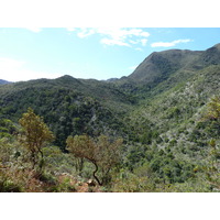 รูปถ่าย นิวแคลิโดเนีย(New Caledonia) ถนนจากทีโอไปกานาลา(Thio to Canala road) 2010-05 40