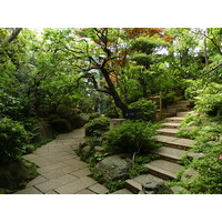 รูปถ่าย ญี่ปุ่น(Japan) โตเกียว(Tokyo) พิพิธภัณฑ์เนซุ(Nezu Museum) 2010-06 90