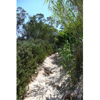 รูปถ่าย ฝรั่งเศส(France) เกาะปอร์เกอรอล(Porquerolles Island) หาดกูร์ตาด(Courtade beach) 2008-05 13