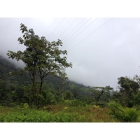 รูปถ่าย ปานามา(Panama) จากดาบิดไปโบกัสเดลโตโร(David to Bocas del toro) 2015-03 70