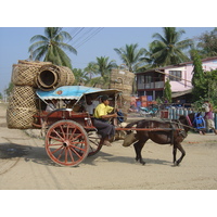 รูปถ่าย พม่า(Myanmar) ทวาย(Dawei (TAVOY)) 2005-01 48