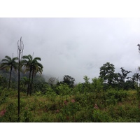 รูปถ่าย ปานามา(Panama) จากดาบิดไปโบกัสเดลโตโร(David to Bocas del toro) 2015-03 72