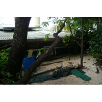 รูปถ่าย ฟิจิ(Fiji) เกาะบีชโคมเบอร์(Beachcomber Island) 2010-05 47