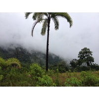 รูปถ่าย ปานามา(Panama) จากดาบิดไปโบกัสเดลโตโร(David to Bocas del toro) 2015-03 84