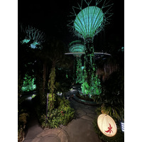 รูปถ่าย สิงคโปร์(Singapore) การ์เดนส์บายเดอะเบย์(Garden by the bay) 2023-01 13