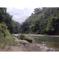 รูปถ่าย คอสตาริกา(Costa Rica) แม่น้ำปากัวเร(Pacuare River) 2015-03 152