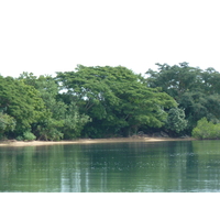 รูปถ่าย ฟิจิ(Fiji) วีเซเซ(Viseisei) 2010-05 14