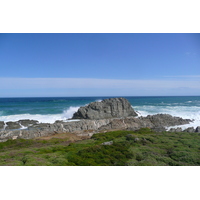 รูปถ่าย แอฟริกาใต้(South Africa) อุทยานแห่งชาติซิตซิคัมมา(Tsitsikamma National Park) 2008-09 52
