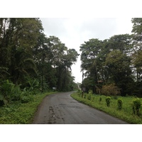 รูปถ่าย คอสตาริกา(Costa Rica) ปวยร์โตเบียโฆเดตาลามังกา(Puerto Viejo de Talamanca) 2015-03 90