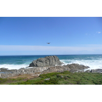 รูปถ่าย แอฟริกาใต้(South Africa) อุทยานแห่งชาติซิตซิคัมมา(Tsitsikamma National Park) 2008-09 60